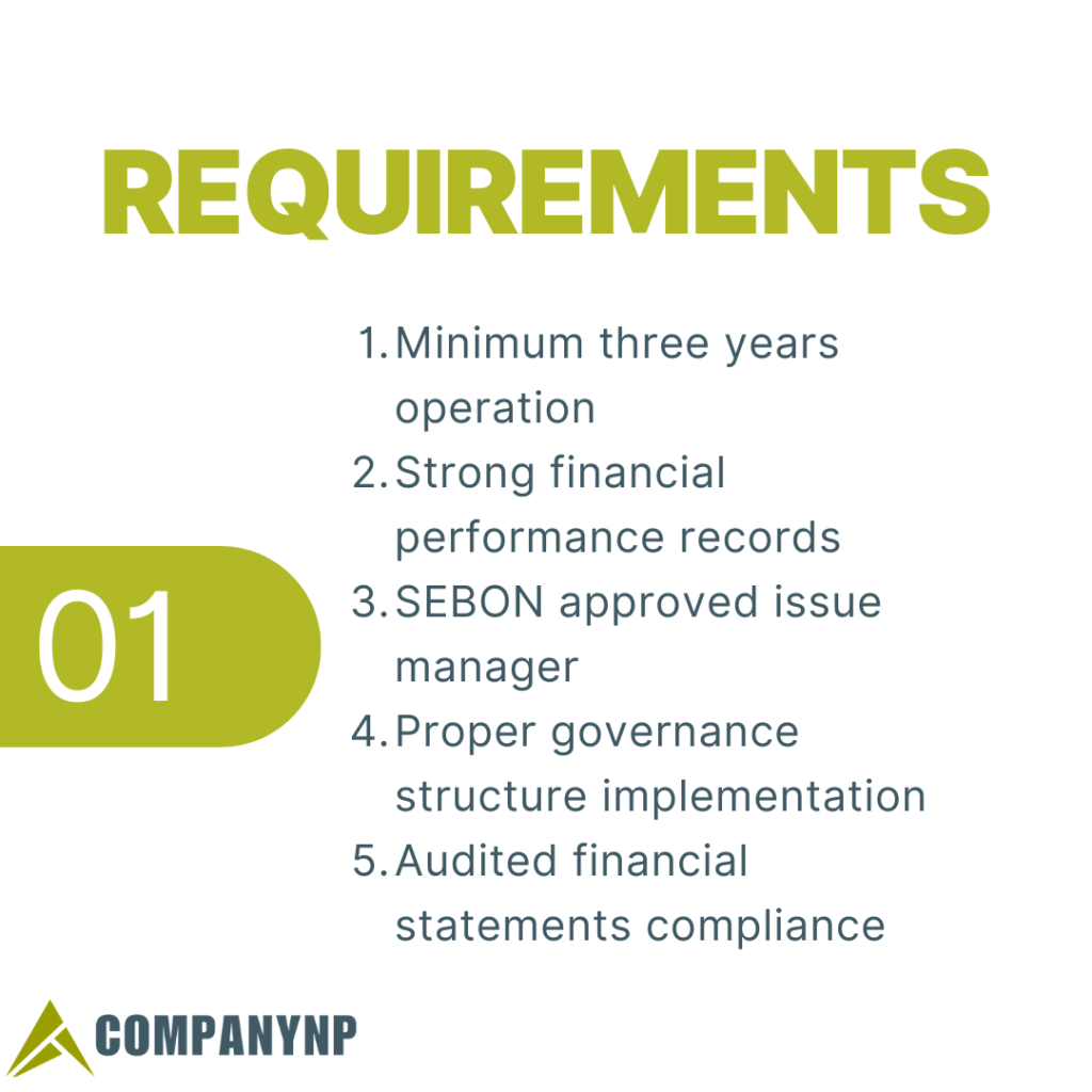 Requirements for IPO Preparation and Execution in Nepal