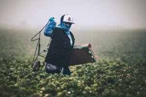 Highlights of Labor Act (2017), 2074